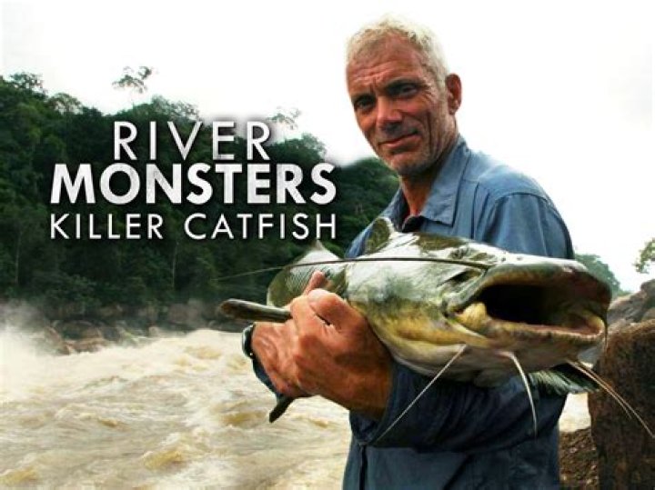 What episode of River Monsters is the catfish?