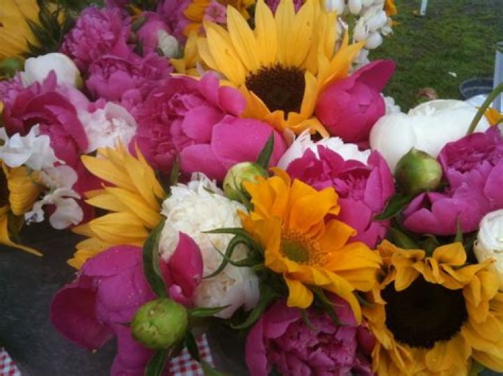 What flower goes well with peonies?