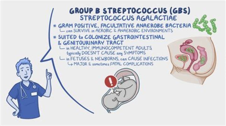 What group of strep is strep Anginosus?