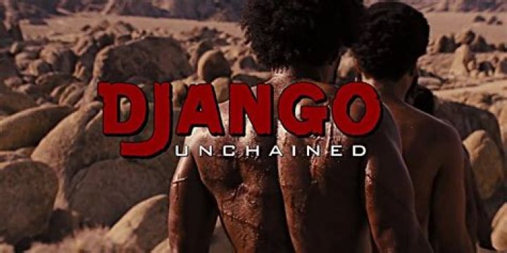 What happened at the end of Django Unchained?