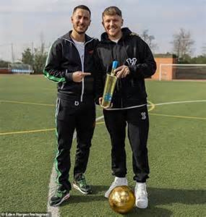 What happened to the ball boy kicked by hazard?