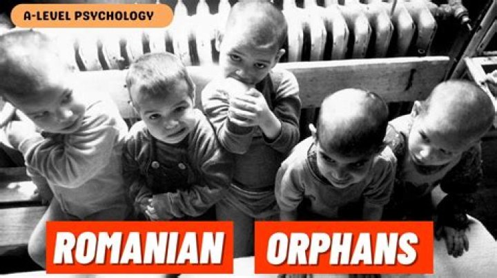 What happened to the orphans in Romania?