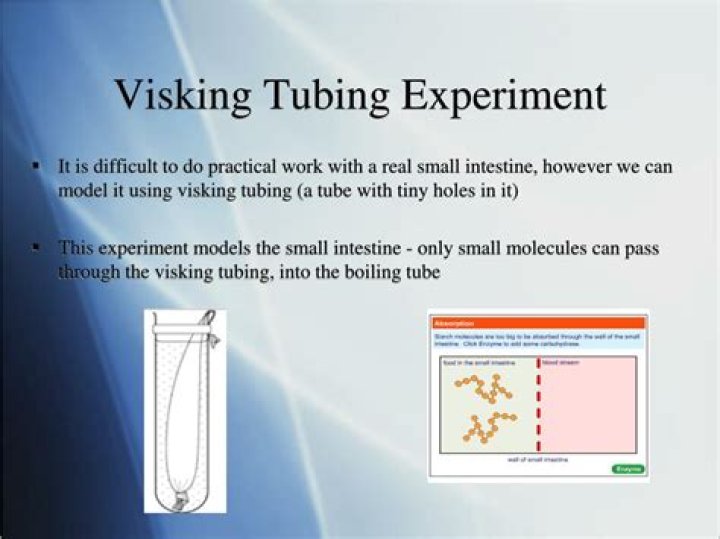 What happens in the Visking tubing experiment?