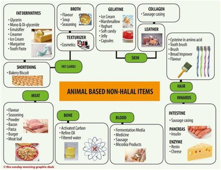 What ingredients are not halal?