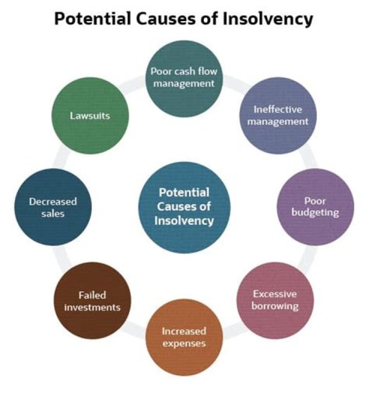 What insolvency means?