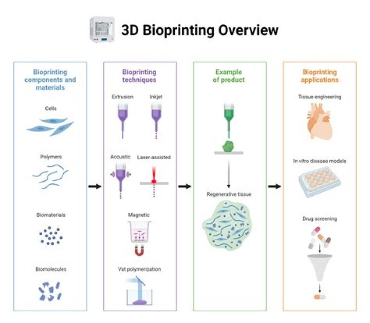 What is 3D bioprinting in simple words?