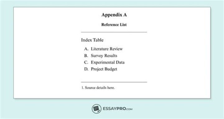 What is a appendices in a report?
