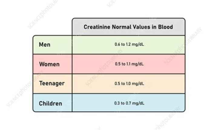 What is a bad creatinine level?