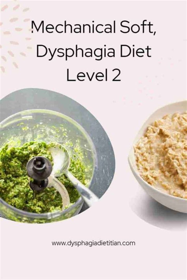 What is a dysphagia Level 2 diet?
