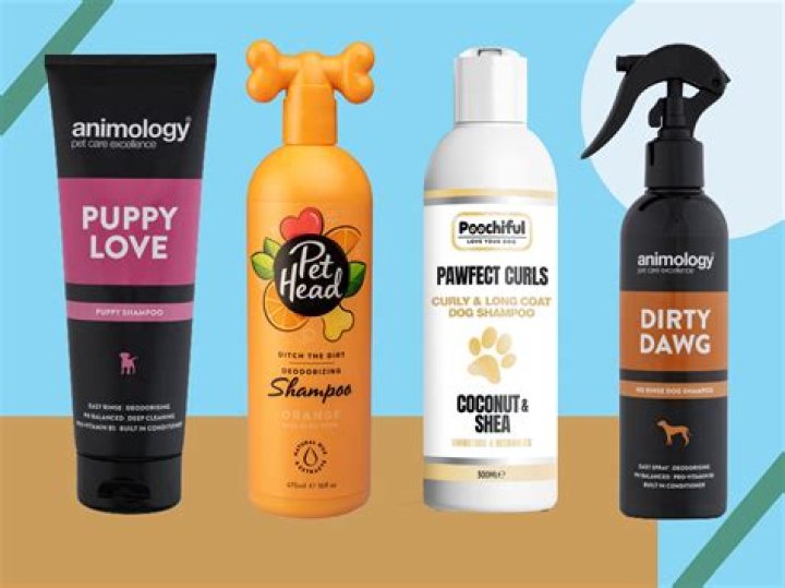 What is a good natural shampoo for dogs?