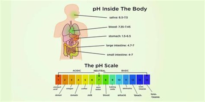 What is a high pH level in stomach?
