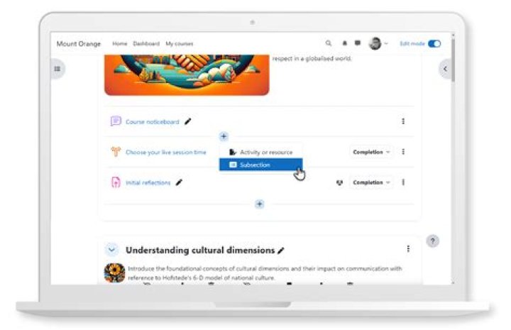 What is a Moodle LMS?