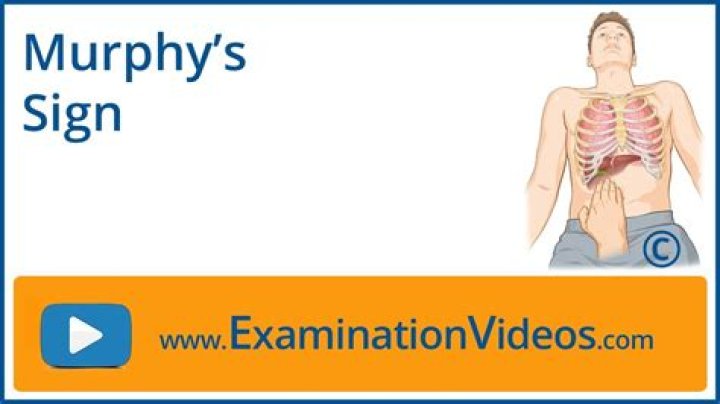 What is a Murphy slang?