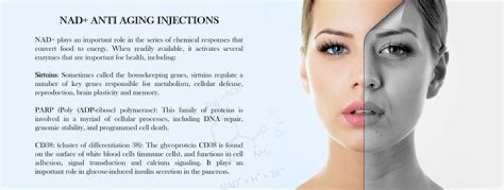 What is a NAD D 3020?