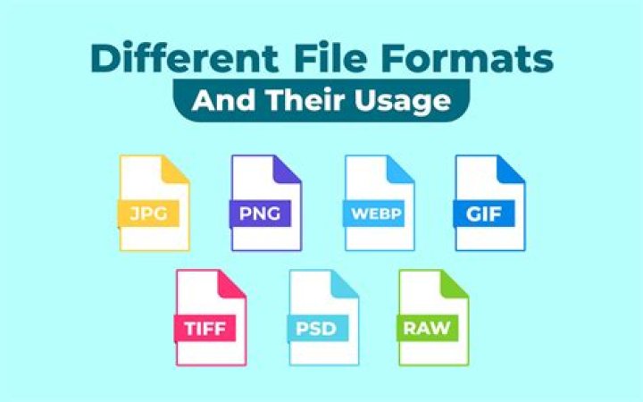 What is a PNG file type used for?