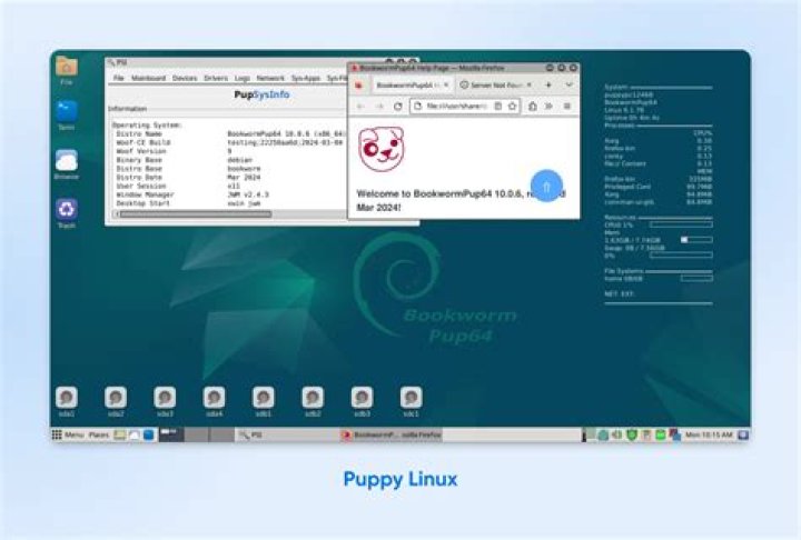 What is a Puppy Linux distro?