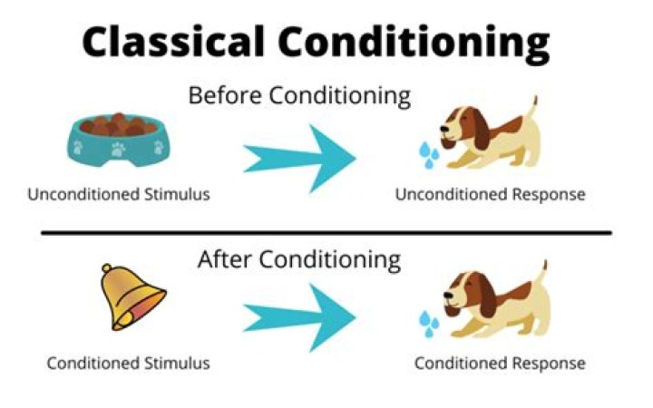 What is a response in classical conditioning?