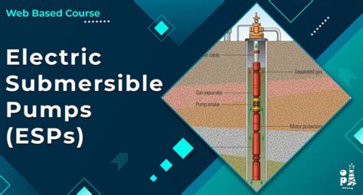 What is a Seaton submersive?