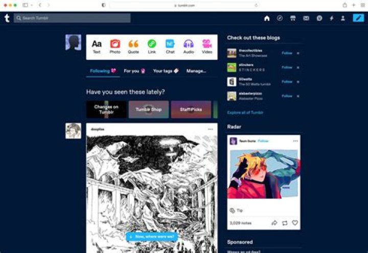 What is a Tumblr theme?