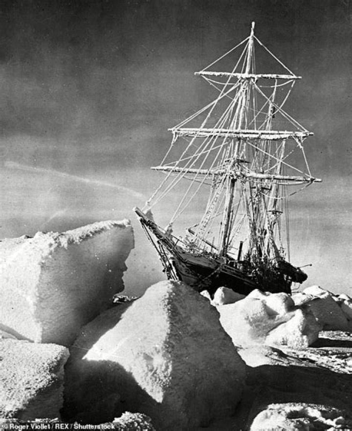 What is an Avro Shackleton used for?