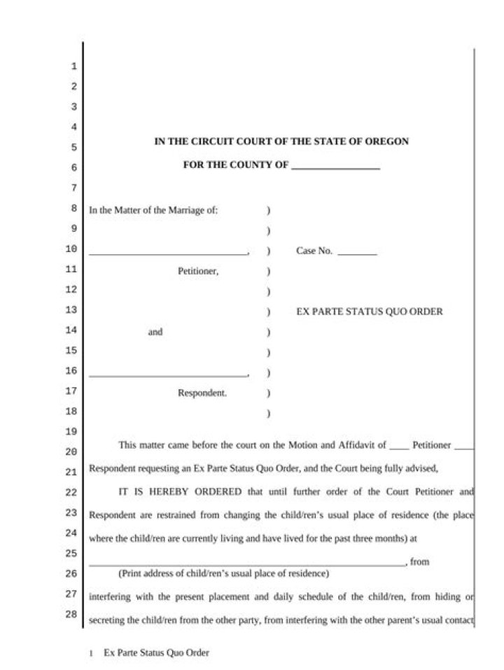 What is an ex parte application?