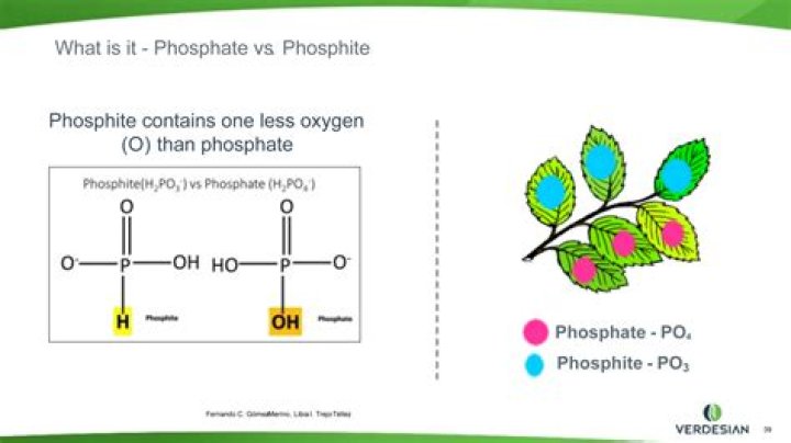What is an organic phosphate group?