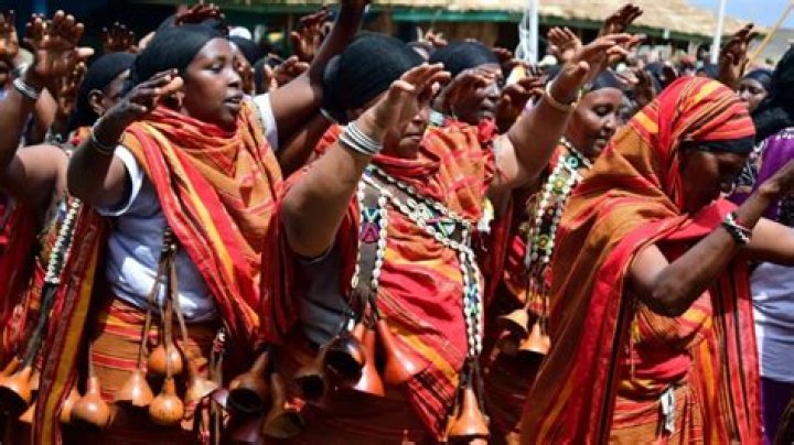 What is Borana culture?