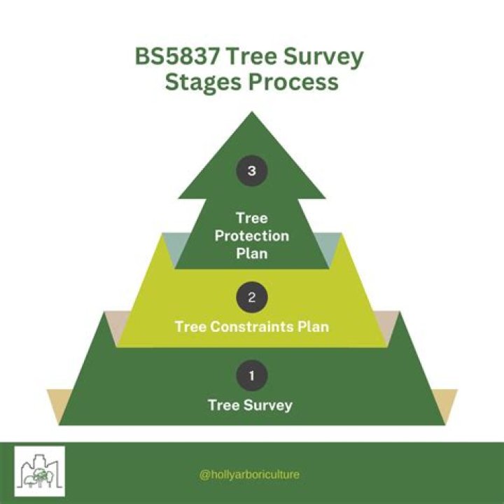What is BS5837 tree survey?