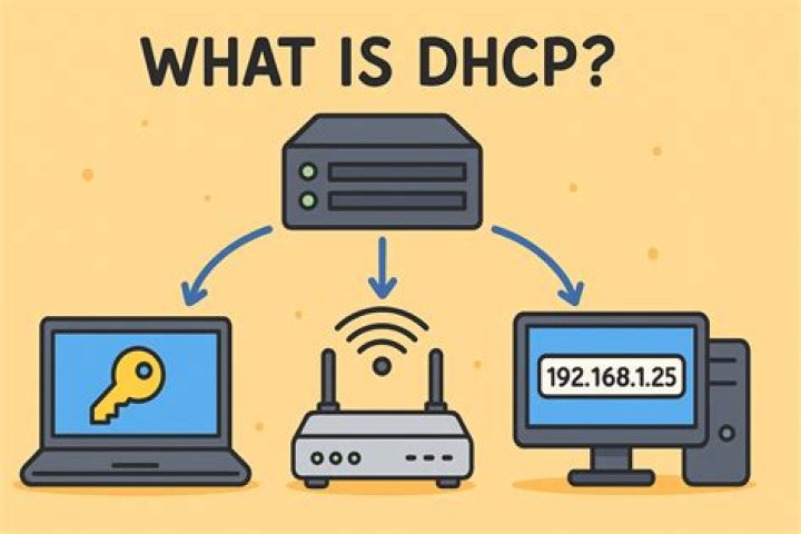What is DHCP 003 DHCP options DHCP options for ipv6?