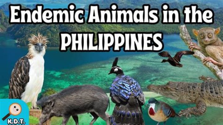 What is endemic species in the Philippines?