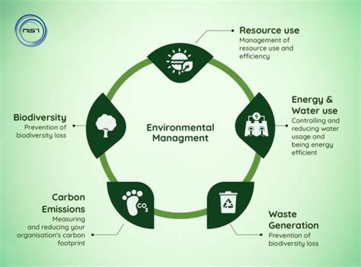 What is environmental management in geography?