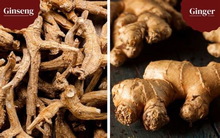 What is ginger and ginseng good for?