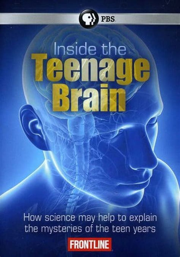 What is going on inside the teenage brain?