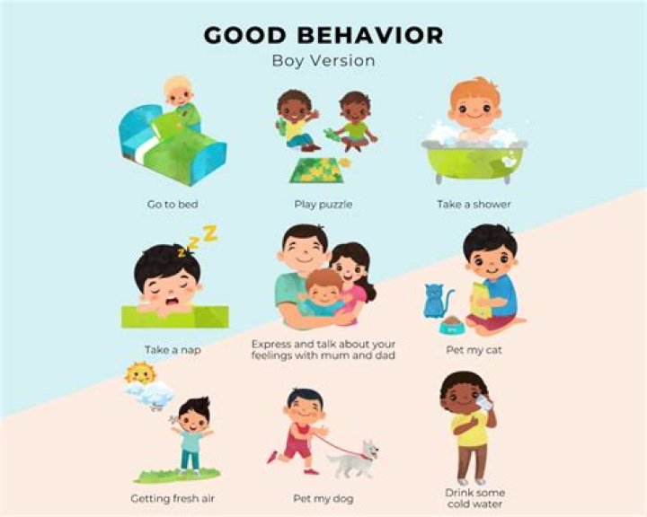 What is good Behaviour in school?