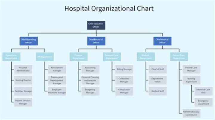 What is healthcare organizational structure?