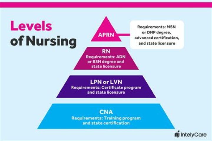 What is high level nursing care?