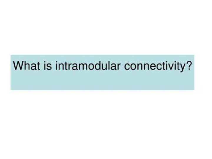 What is Intramodular connectivity?