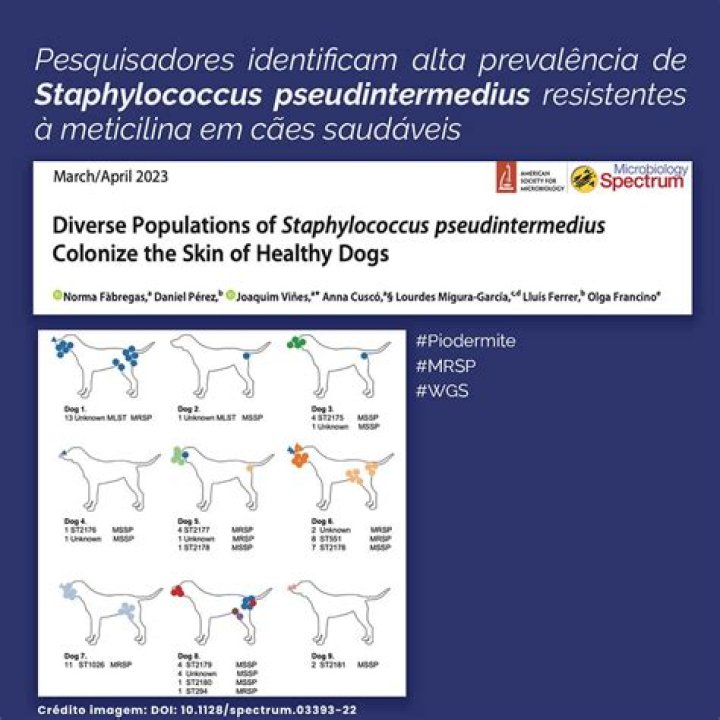 What is Marbocyl used for in dogs?