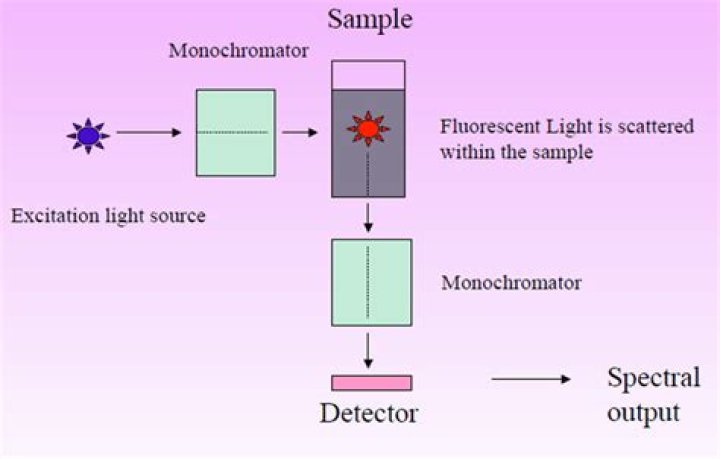 What is measured in Spectrofluorometric method?