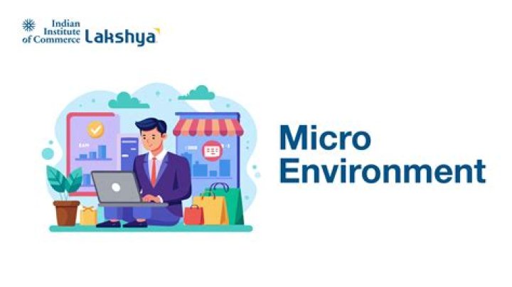 What is micro environment and examples?