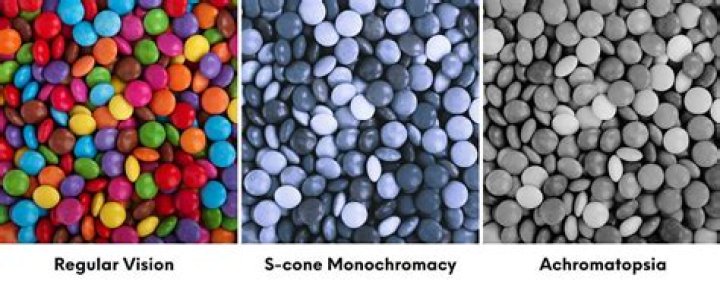 What is monochromatic in Photoshop?