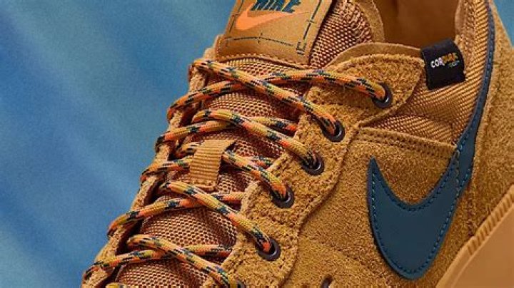 What is Nike Free?