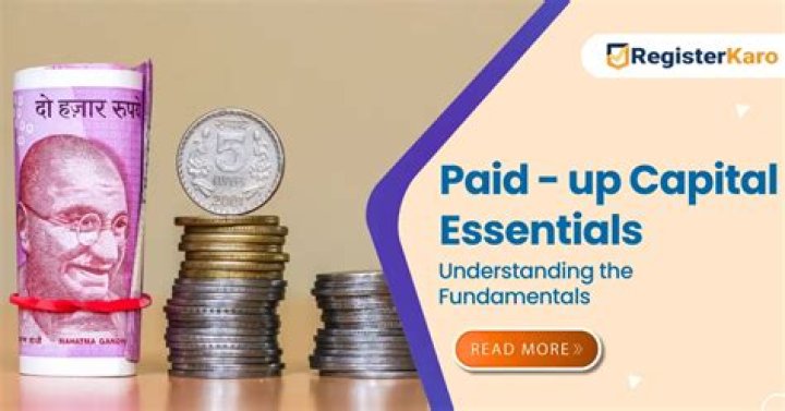 What is paid up capital with example?