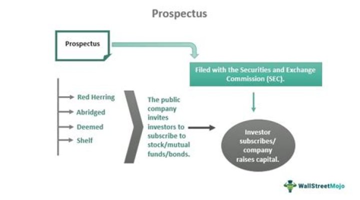 What is plural for prospectus?