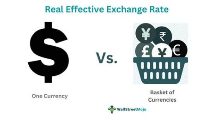 What is real effective exchange rate index?