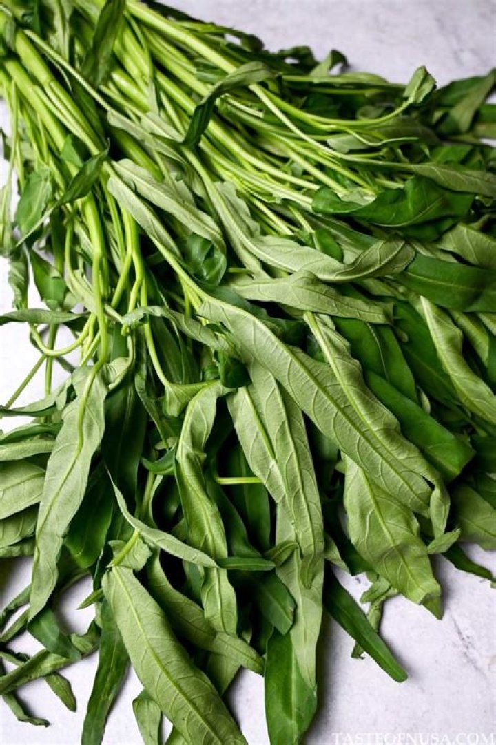 What is Sotong kangkung?