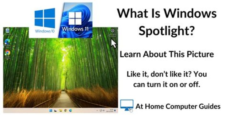 What is Sprint app Spotlight?