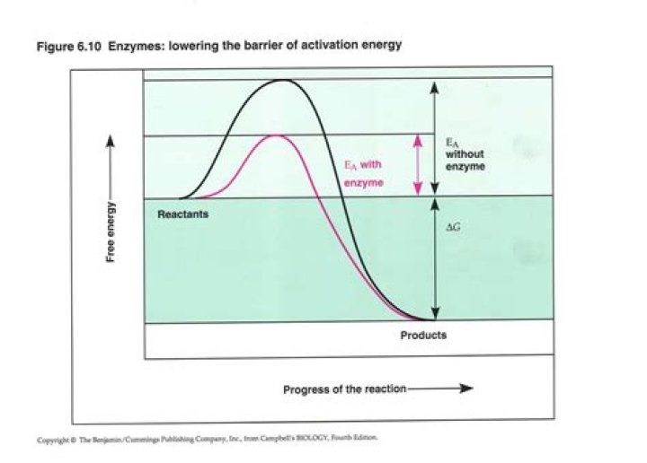 What is the activation energy barrier in a reaction?