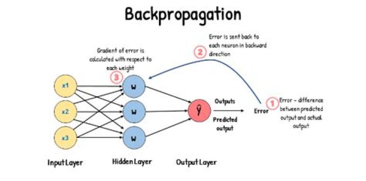 What is the backpropagation rule?