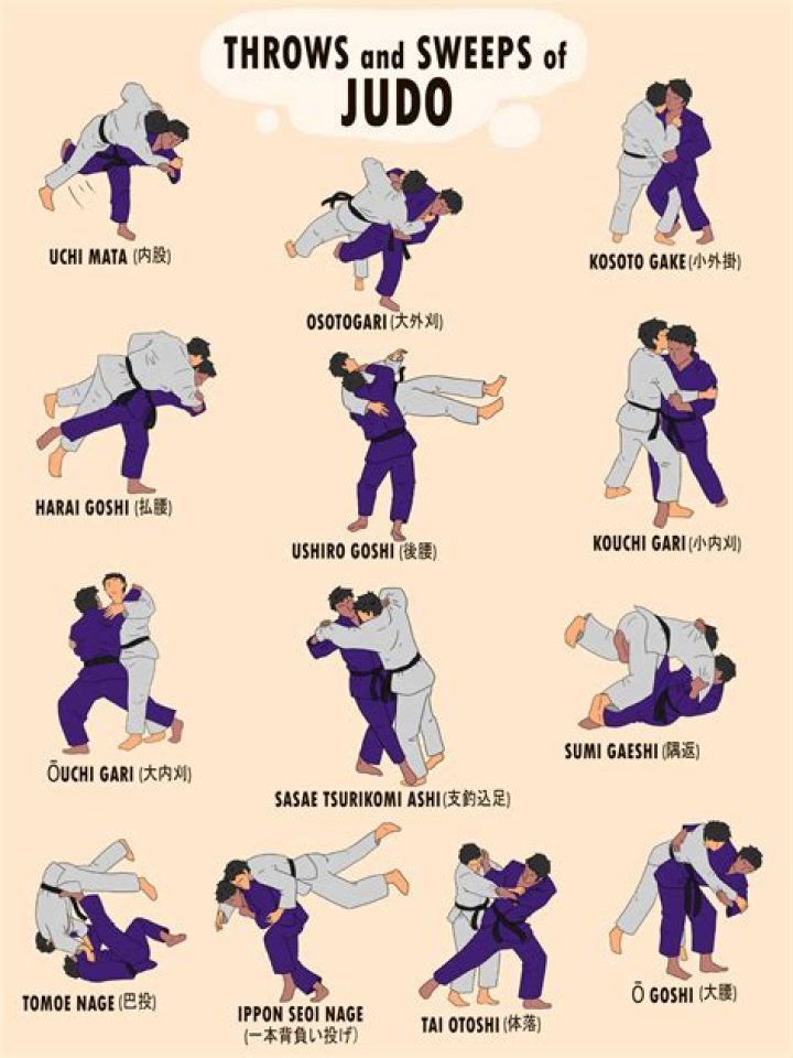 What is the basis for the moves of judo?